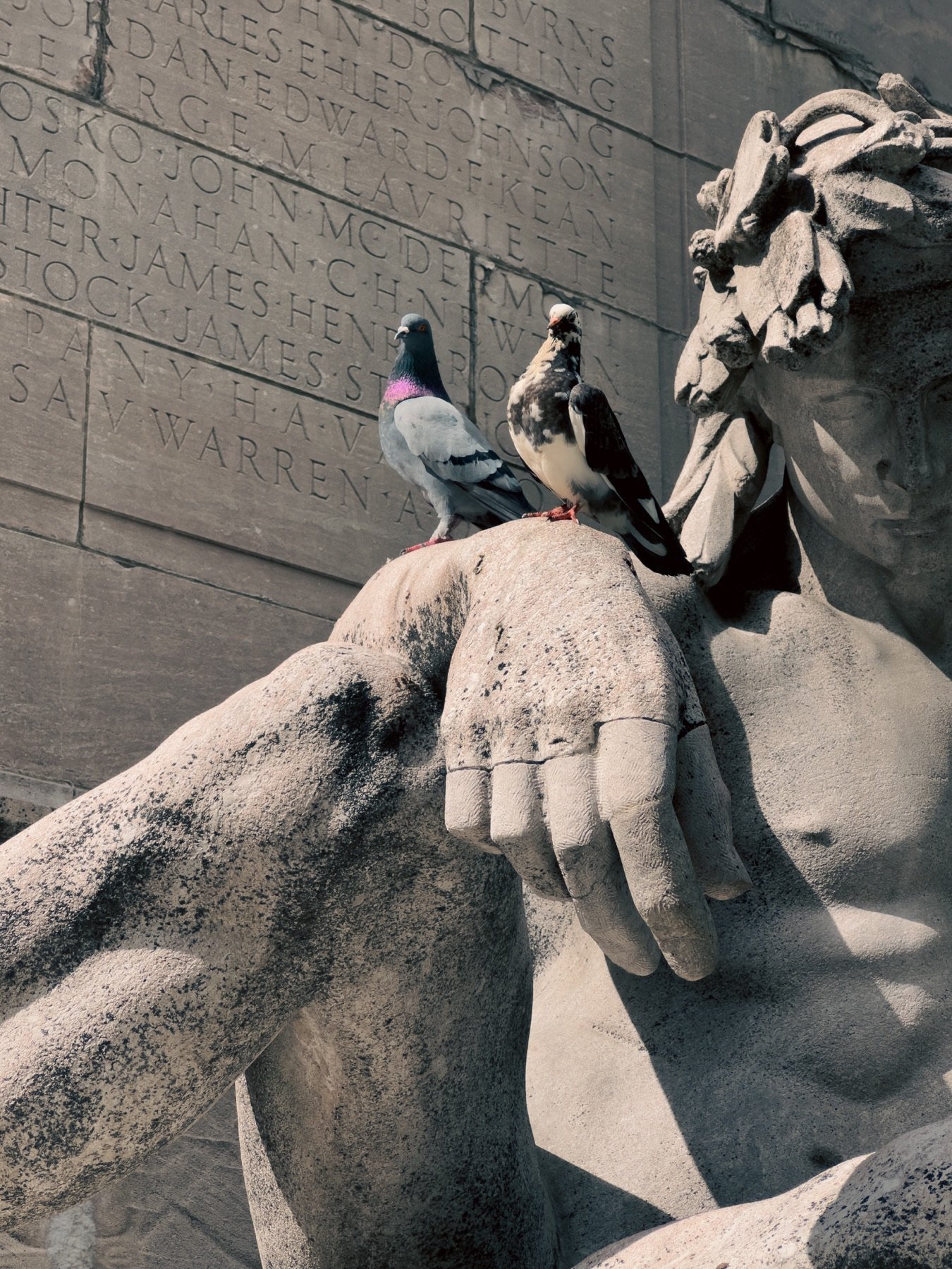 Pigeons on a war memorial